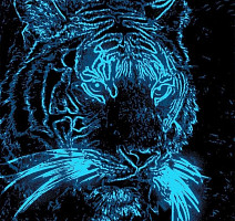 Дюна Тафт Неон Тигр